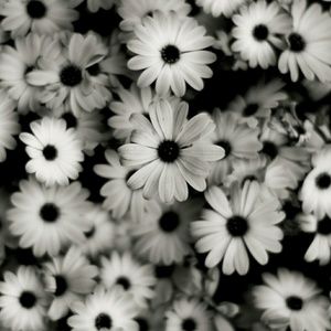 Meet your Posher, Liz